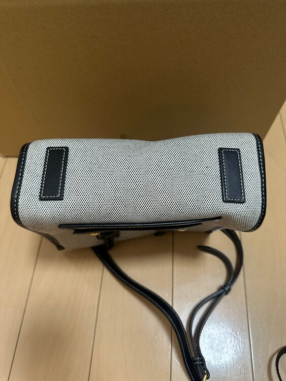 Freya ハンドバッグ ミニ（ブランドバッグ）の商品画像 - 査定依頼日：2025年5月3日 - 最高査定価格：50,000円