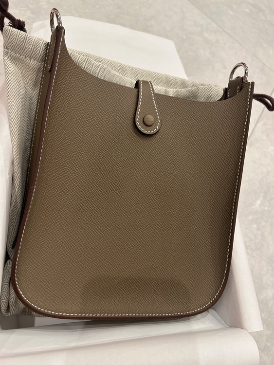 エブリン　セリエ　TPM（ブランドバッグ）の商品画像 - 査定依頼日：2026年1月13日 - 最高査定価格：380,000円