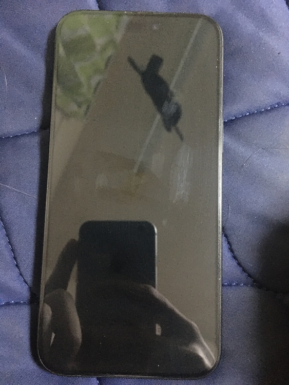 iPhone 15 Pro Max 1TB Softbank（スマホ）の商品画像 - 査定依頼日：2026年2月12日 - 最高査定価格：80,000円