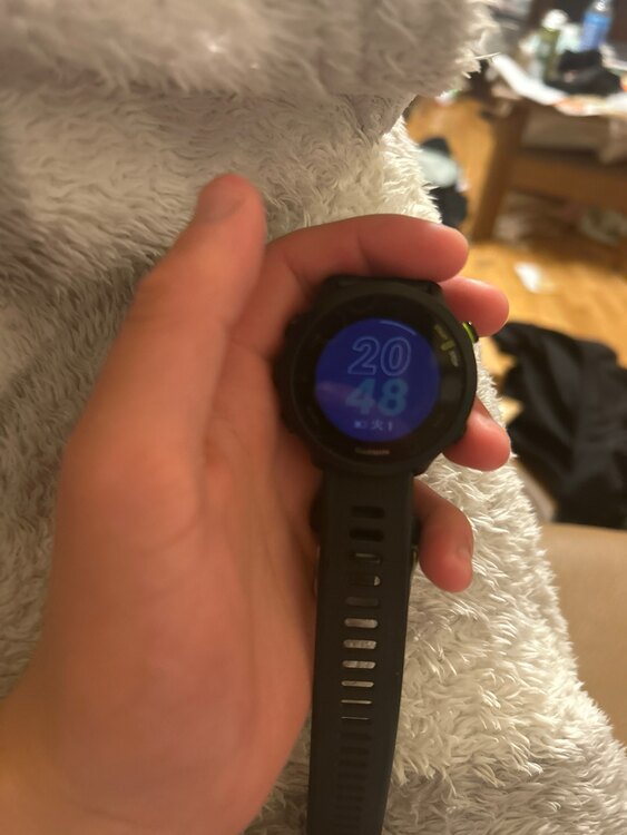 その他 その他 GARMIN ForeAthlete 55 42mm ブラック（高級時計）の商品画像 - 査定依頼日：2025年4月1日 - 最高査定価格：100,000円