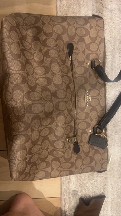 その他 コーチ （ブランドバッグ）の商品画像 - 査定依頼日：2026年4月14日 - 最高査定価格：1,500円