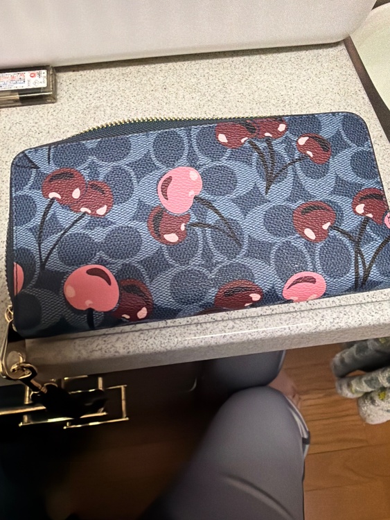 その他 コーチ （ブランドバッグ）の商品画像 - 査定依頼日：2026年4月7日 - 最高査定価格：3,000円