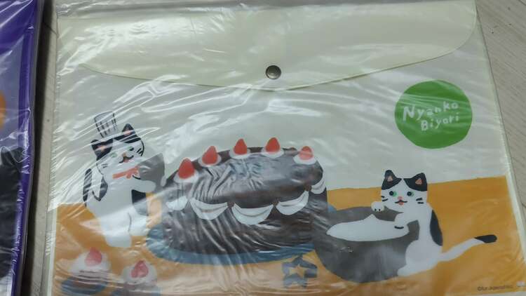 サンスター文具 フラットケース 19点セット（その他のおもちゃ）の商品画像 - 査定依頼日：2024年2月10日