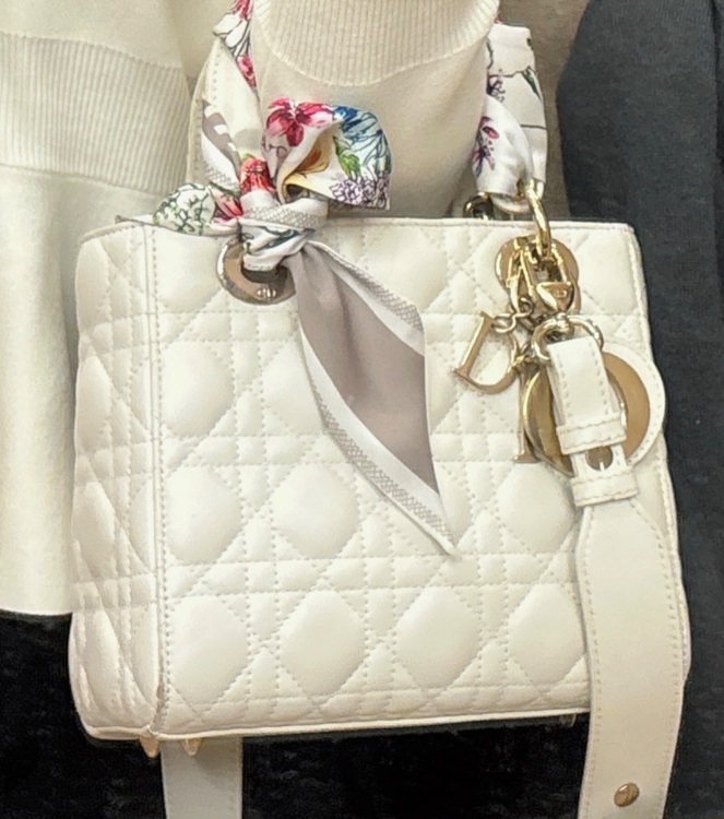 ディオール  （ブランドバッグ）の商品画像 - 査定依頼日：2025年6月25日 - 最高査定価格：350,000円