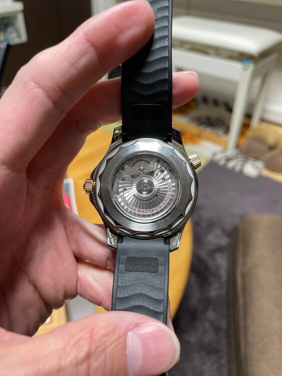 オメガ シーマスター 210.22.42.20.01.00（高級時計）の商品画像 - 査定依頼日：2025年5月1日 - 最高査定価格：750,000円