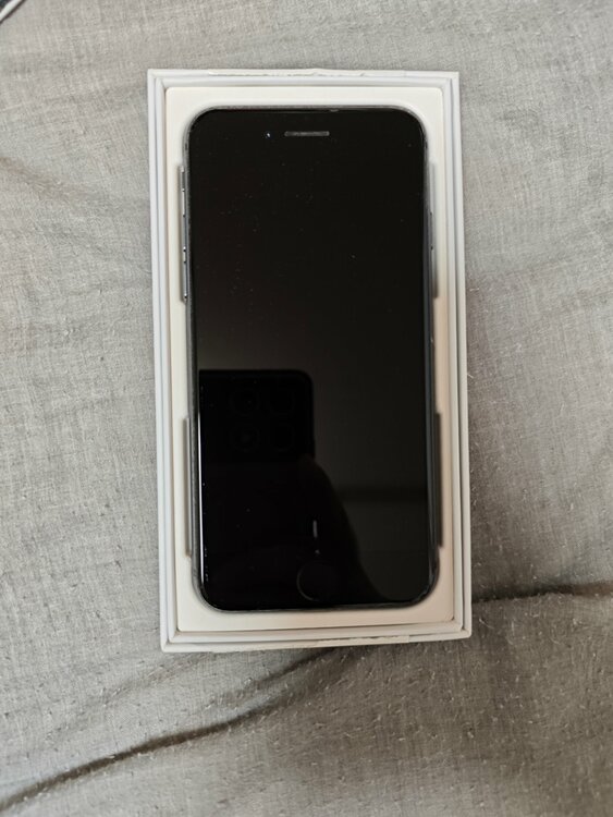 iPhone iPhone8 64GB SIMフリー（スマホ）の商品画像 - 査定依頼日：2026年9月19日 - 最高査定価格：4,500円