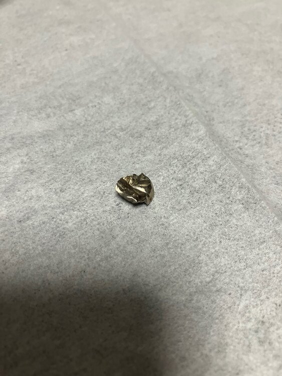 金歯（金・貴金属）の商品画像 - 査定依頼日：2025年1月10日 - 最高査定価格：2,000円