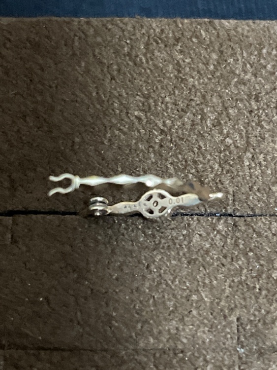 ピアス（金・貴金属）の商品画像 - 査定依頼日：2026年3月4日 - 最高査定価格：25,000円