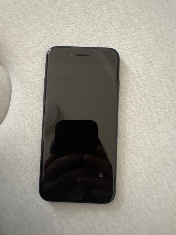 iPhone iPhone SE (第 3 世代) 64GB SIMフリー（スマホ）の商品画像 - 査定依頼日：2026年8月12日 - 最高査定価格：18,000円