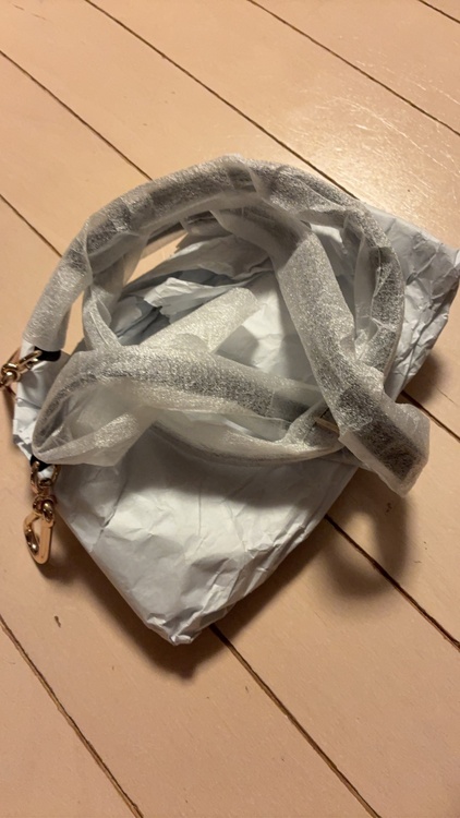 その他 コーチ （ブランドバッグ）の商品画像 - 査定依頼日：2026年1月31日 - 最高査定価格：1,000円