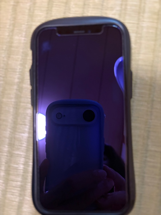 iPhone iPhone 12 mini 64GB SIMフリー（スマホ）の商品画像 - 査定依頼日：2026年8月4日 - 最高査定価格：20,000円