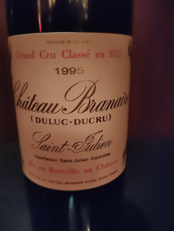 シャトーブラネールデュクリュ　1995年（お酒）の商品画像 - 査定依頼日：2026年3月11日 - 最高査定価格：6,000円