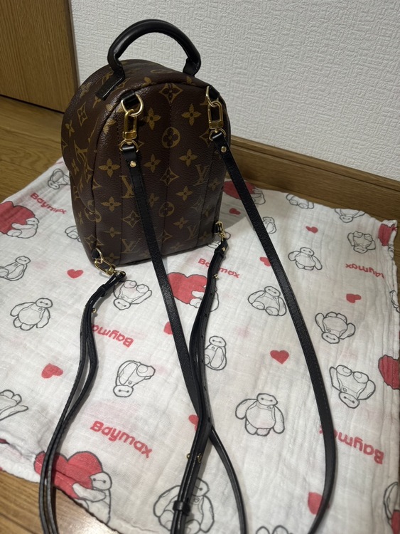 パームスプリングスバックパックMINI（ブランドバッグ）の商品画像 - 査定依頼日：2026年6月4日 - 最高査定価格：120,000円