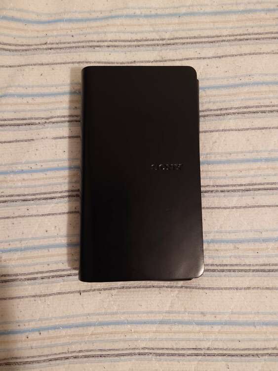 SONY NW-1ZM2 WALKMAN（オーディオ・スピーカー）の商品画像 - 査定依頼日：2025年5月19日 - 最高査定価格：167,100円