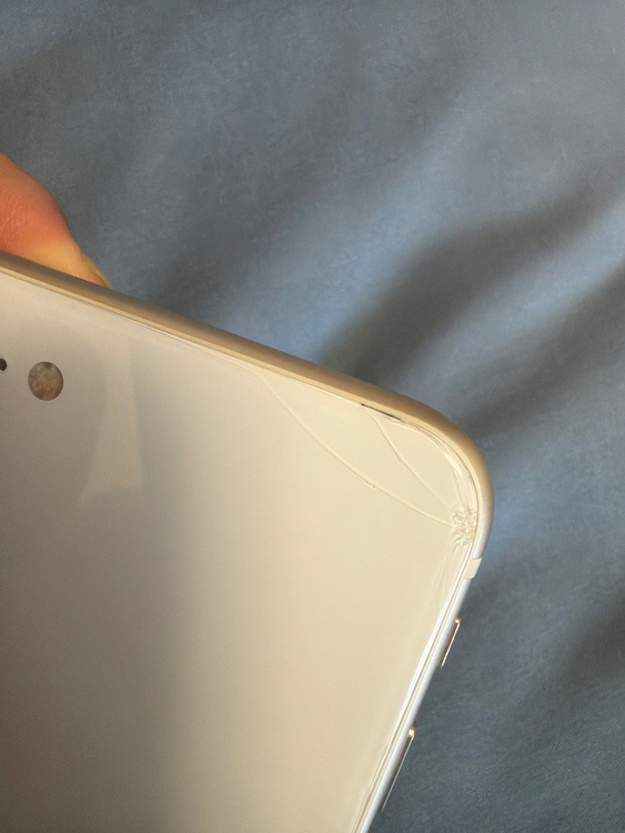iPhone iPhone SE (第 2 世代) 128GB SIMフリー（スマホ）の商品画像 - 査定依頼日：2026年8月6日 - 最高査定価格：9,000円
