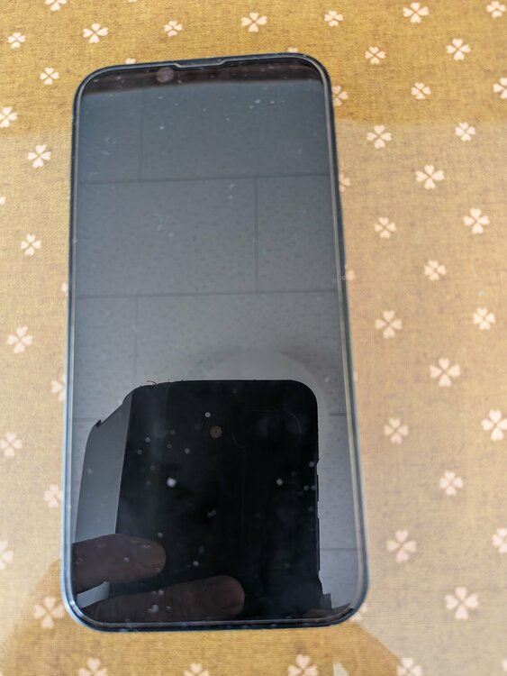 iPhone14（スマホ）の商品画像 - 査定依頼日：2026年1月28日 - 最高査定価格：45,000円