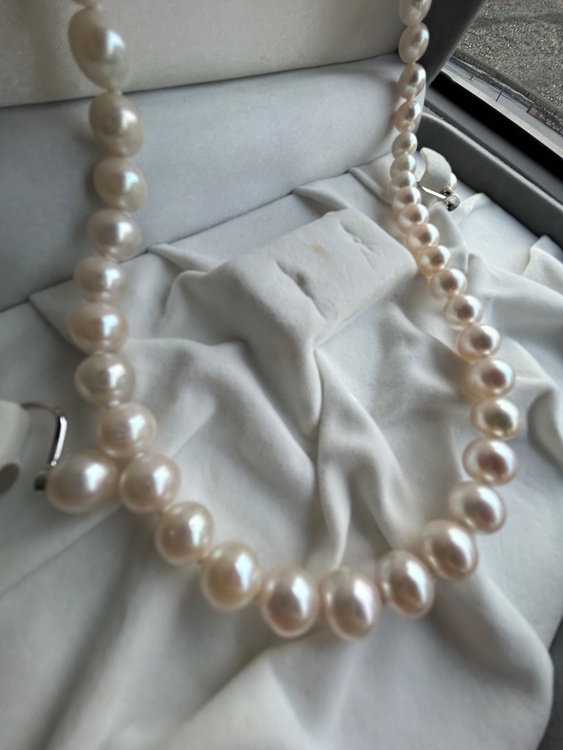 あこや本真珠ネックレス（金・貴金属）の商品画像 - 査定依頼日：2026年2月7日 - 最高査定価格：100,000円