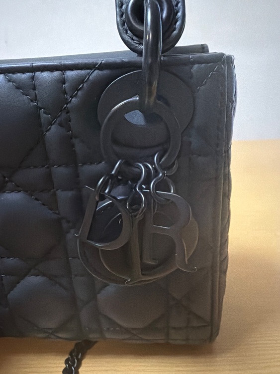 レディーディオール（ブランドバッグ）の商品画像 - 査定依頼日：2025年11月16日 - 最高査定価格：350,000円