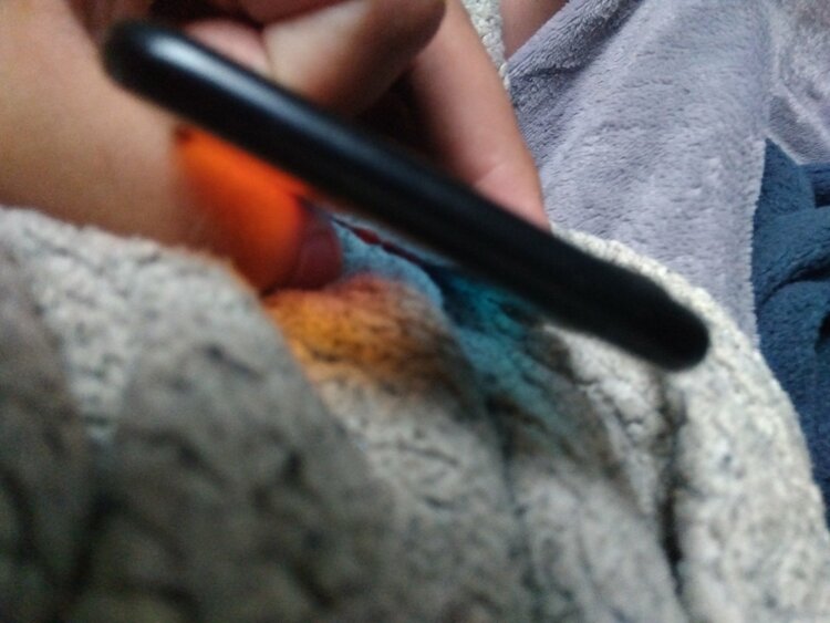 iPhone7 32GB docomo（スマホ）の商品画像 - 査定依頼日：2026年4月4日 - 最高査定価格：1,500円