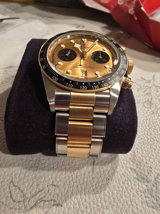 チューダー ブラックベイ 79363N（高級時計）の商品画像 - 査定依頼日：2025年10月7日 - 最高査定価格：630,000円