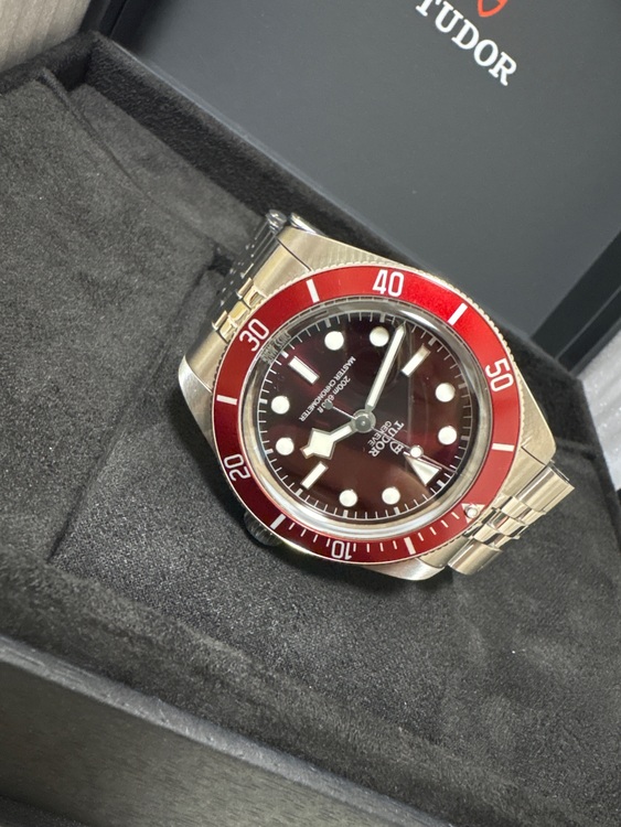 チューダー ブラックベイ 7939A1A0Ru（高級時計）の商品画像 - 査定依頼日：2025年10月2日 - 最高査定価格：550,000円