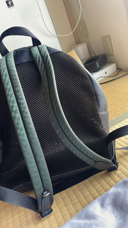 グッチ  （ブランドバッグ）の商品画像 - 査定依頼日：2024年12月30日 - 最高査定価格：3,000円