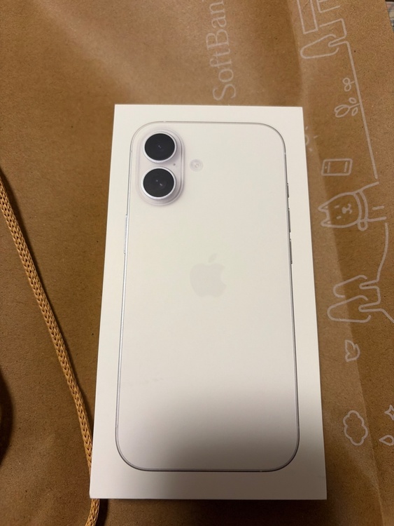 iPhone 17 256GB SIMフリー（スマホ）の商品画像 - 査定依頼日：2026年2月24日 - 最高査定価格：113,000円