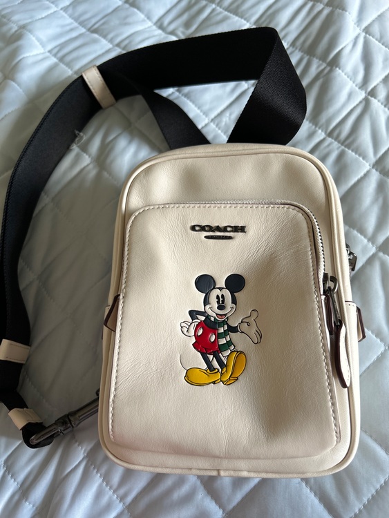 その他 コーチ （ブランドバッグ）の商品画像 - 査定依頼日：2025年7月19日 - 最高査定価格：8,000円