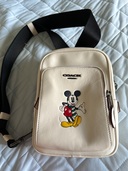 その他 コーチ （ブランドバッグ）の商品画像 - 査定依頼日：2025年7月19日 - 最高査定価格：8,000円