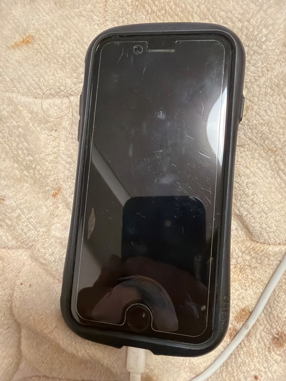 iPhone（スマホ）の商品画像 - 査定依頼日：2026年3月28日 - 最高査定価格：24,000円