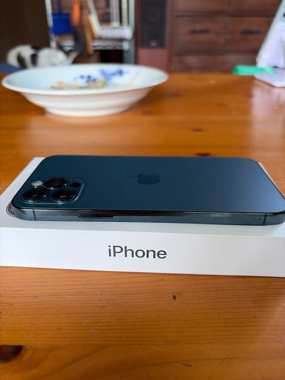 iPhone iPhone 12 Pro 256GB Softbank（スマホ）の商品画像 - 査定依頼日：2026年6月17日 - 最高査定価格：36,000円