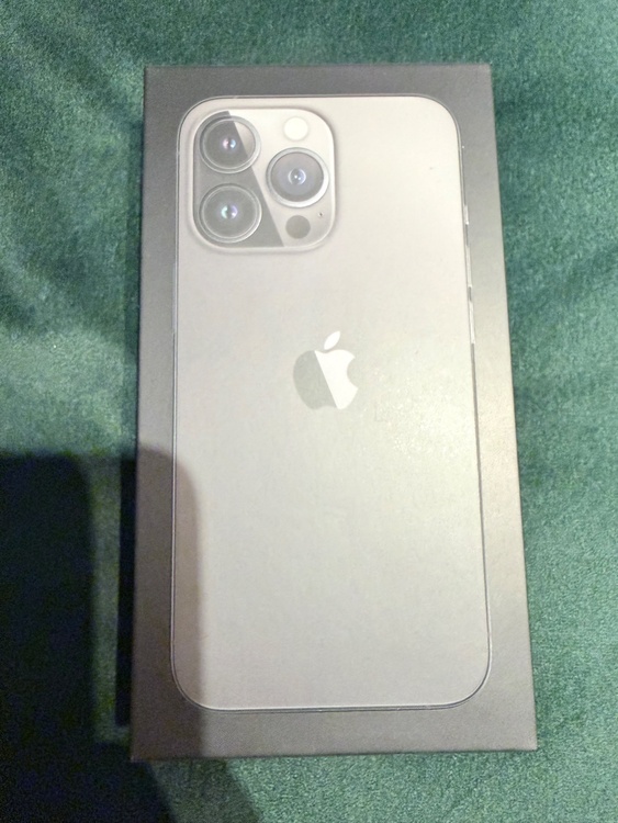 iPhone iPhone 13 Pro 256GB docomo（スマホ）の商品画像 - 査定依頼日：2026年6月15日 - 最高査定価格：55,000円