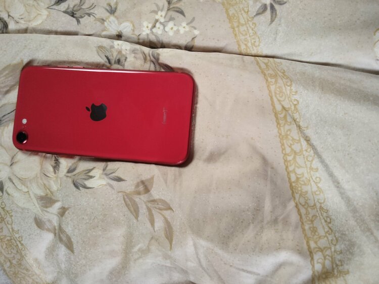 iPhone iPhone SE (第 3 世代) 64GB Softbank（スマホ）の商品画像 - 査定依頼日：2026年6月23日 - 最高査定価格：20,000円