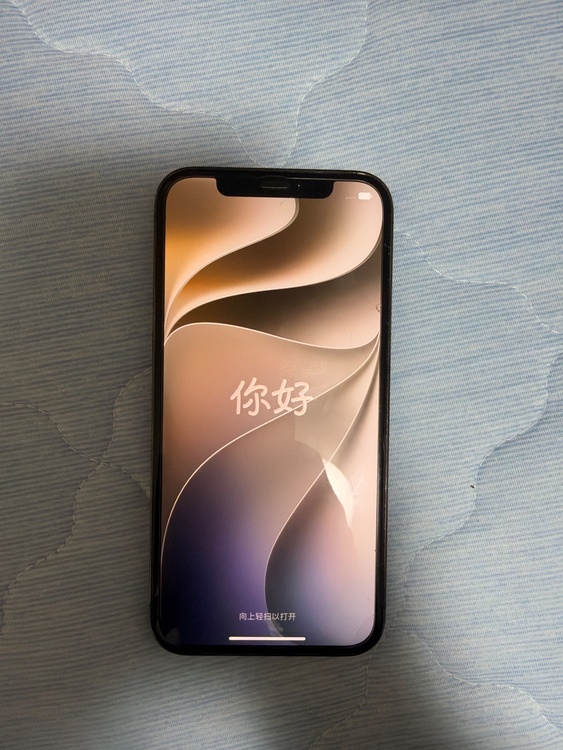 iPhone iPhone 12 Pro 128GB SIMフリー（スマホ）の商品画像 - 査定依頼日：2026年10月7日 - 最高査定価格：25,000円