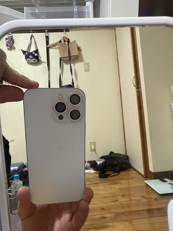 iPhone 16 Pro Max 256GB docomo（スマホ）の商品画像 - 査定依頼日：2026年2月13日 - 最高査定価格：131,000円