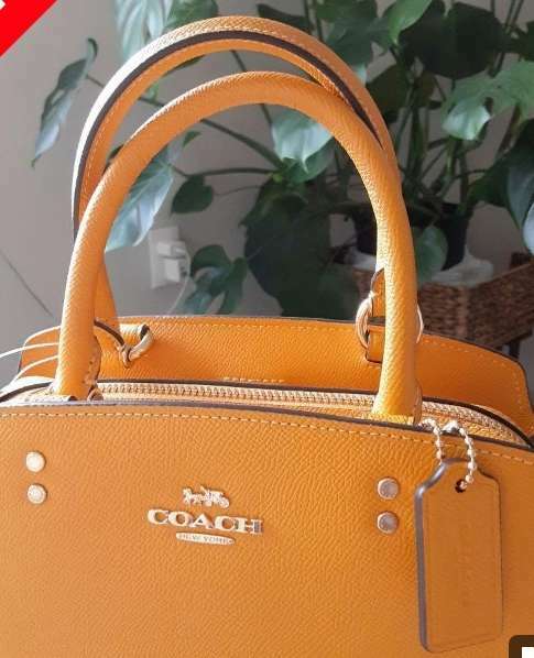 COACH　ハンドバッグ（ブランドバッグ）の商品画像 - 査定依頼日：2025年2月27日 - 最高査定価格：8,000円