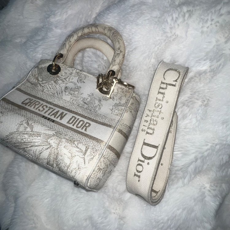 ディオール  （ブランドバッグ）の商品画像 - 査定依頼日：2026年1月9日 - 最高査定価格：250,000円