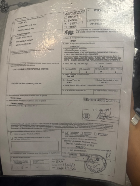 プラダ  （ブランドバッグ）の商品画像 - 査定依頼日：2026年4月28日 - 最高査定価格：85,000円