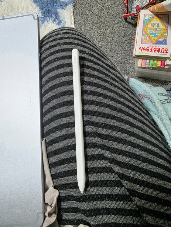 GALAXYS10LITE（PC・タブレット）の商品画像 - 査定依頼日：2026年4月17日 - 最高査定価格：100,000円