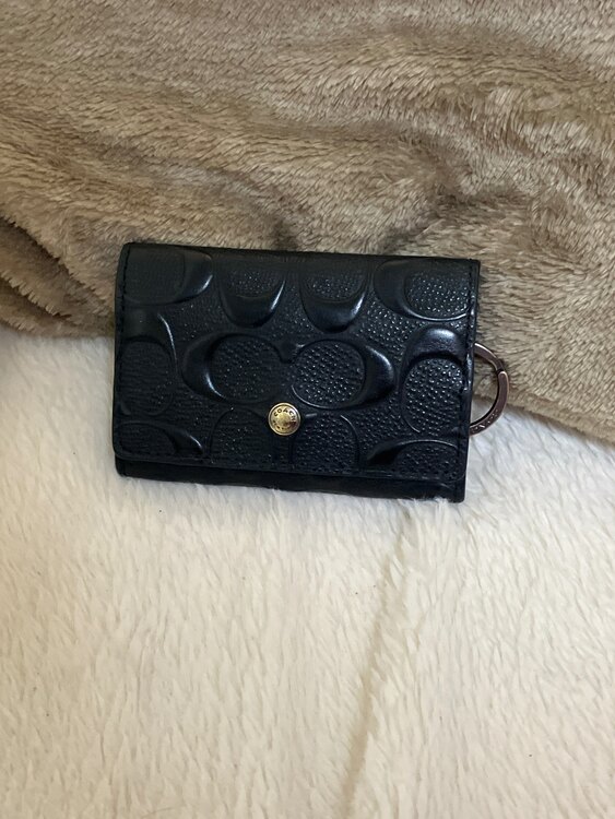 その他 コーチ （ブランドバッグ）の商品画像 - 査定依頼日：2024年12月28日 - 最高査定価格：1,000円