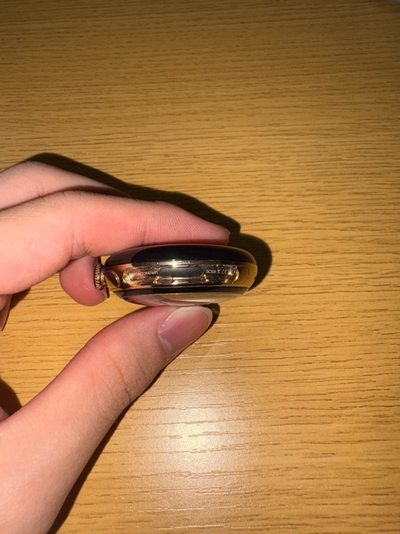 Google pixel watch 2（高級時計）の商品画像 - 査定依頼日：2025年6月30日 - 最高査定価格：9,000円