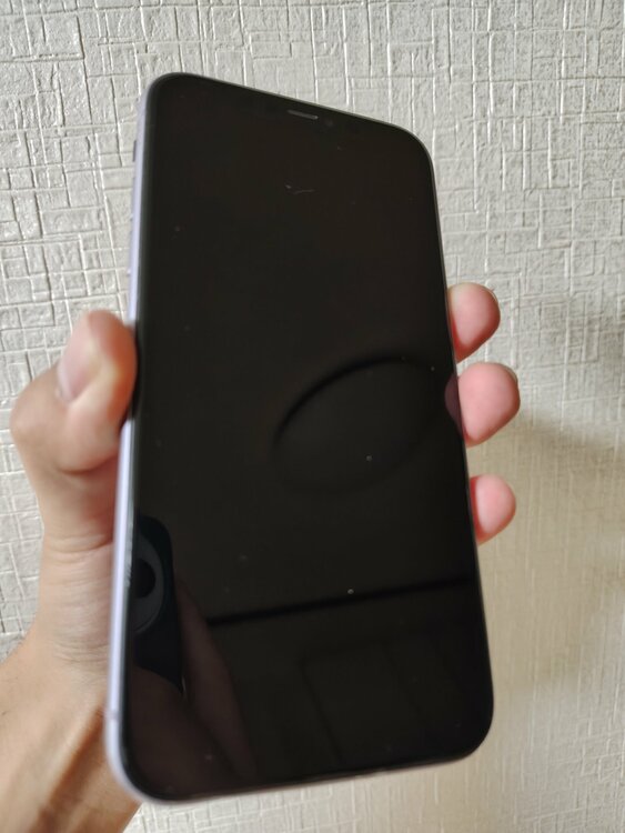 iPhone iPhone11 64GB SIMフリー（スマホ）の商品画像 - 査定依頼日：2026年9月12日 - 最高査定価格：19,500円