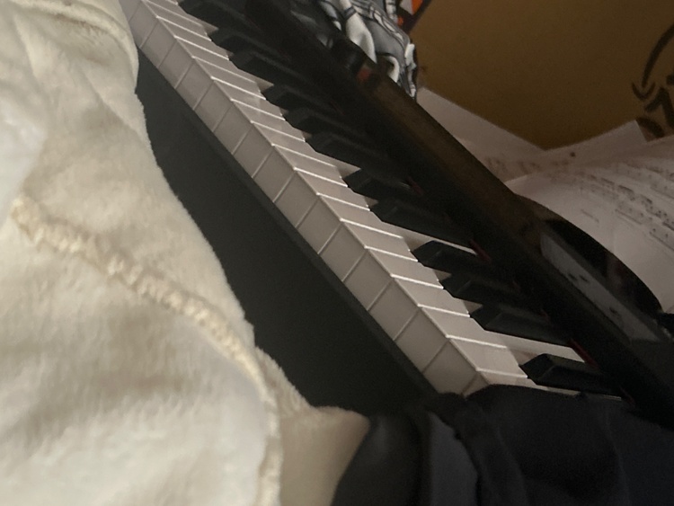 korg（ピアノ・楽器・PA機材）の商品画像 - 査定依頼日：2026年1月25日 - 最高査定価格：100,000円