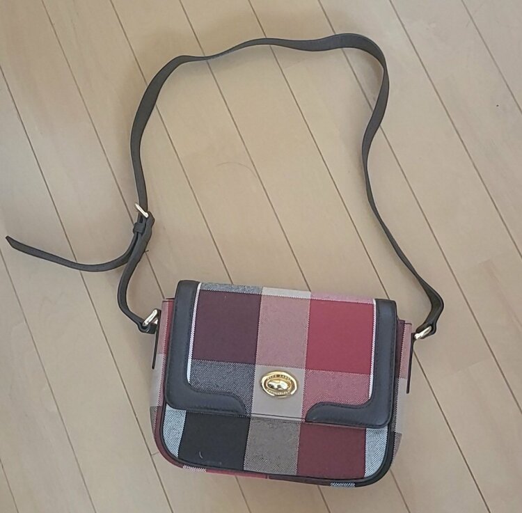 BURBERRY BLUE LABEL　ショルダーバッグ（ブランドバッグ）の商品画像 - 査定依頼日：2026年1月25日 - 最高査定価格：5,000円