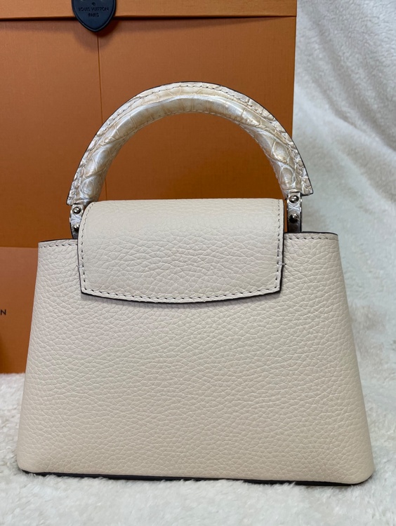 ルイヴィトン ルイヴィトン(その他) （ブランドバッグ）の商品画像 - 査定依頼日：2026年3月26日 - 最高査定価格：100,000円