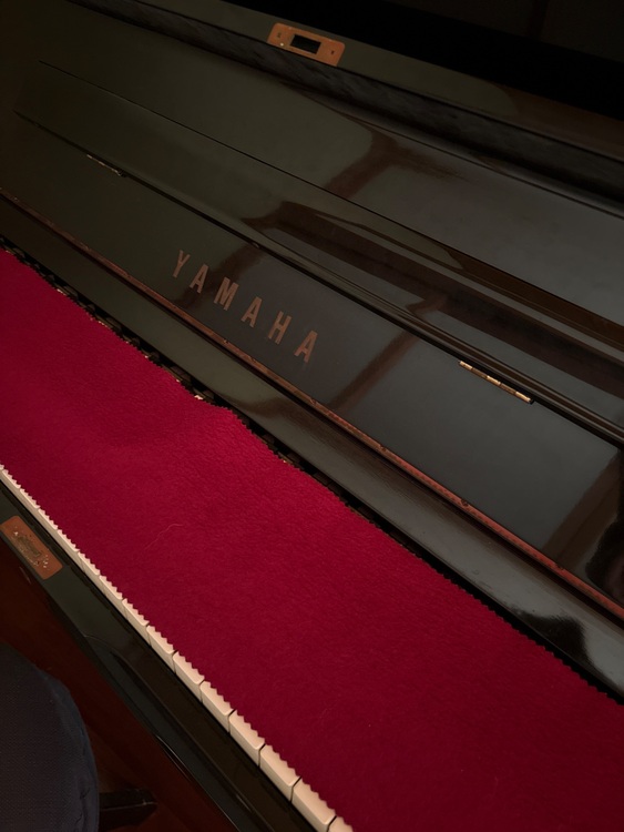 U3H 1497282（ピアノ・楽器・PA機材）の商品画像 - 査定依頼日：2025年10月10日 - 最高査定価格：3,000円