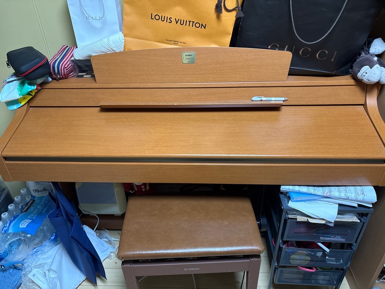 Glavinova（ピアノ・楽器・PA機材）の商品画像 - 査定依頼日：2026年3月13日 - 最高査定価格：5,000円