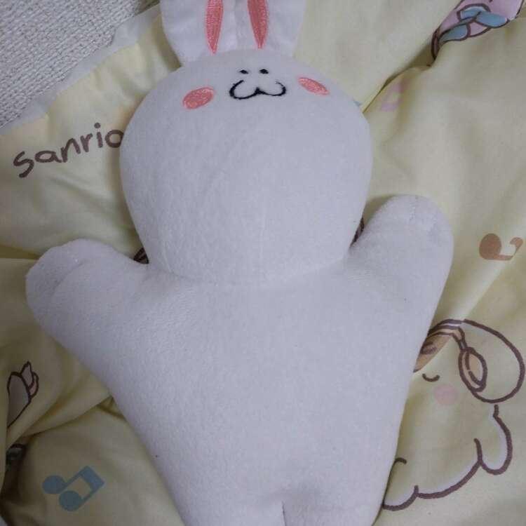 渡辺麻友 むちち ぬいぐるみ（その他のおもちゃ）の商品画像 - 査定依頼日：2025年3月30日 - 最高査定価格：2,000円