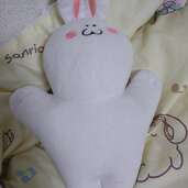 渡辺麻友 むちち ぬいぐるみ（その他のおもちゃ）の商品画像 - 査定依頼日：2025年3月30日 - 最高査定価格：2,000円