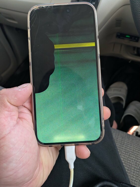 iPhone iPhone 15 Plus 256GB au（スマホ）の商品画像 - 査定依頼日：2026年6月1日 - 最高査定価格：70,000円